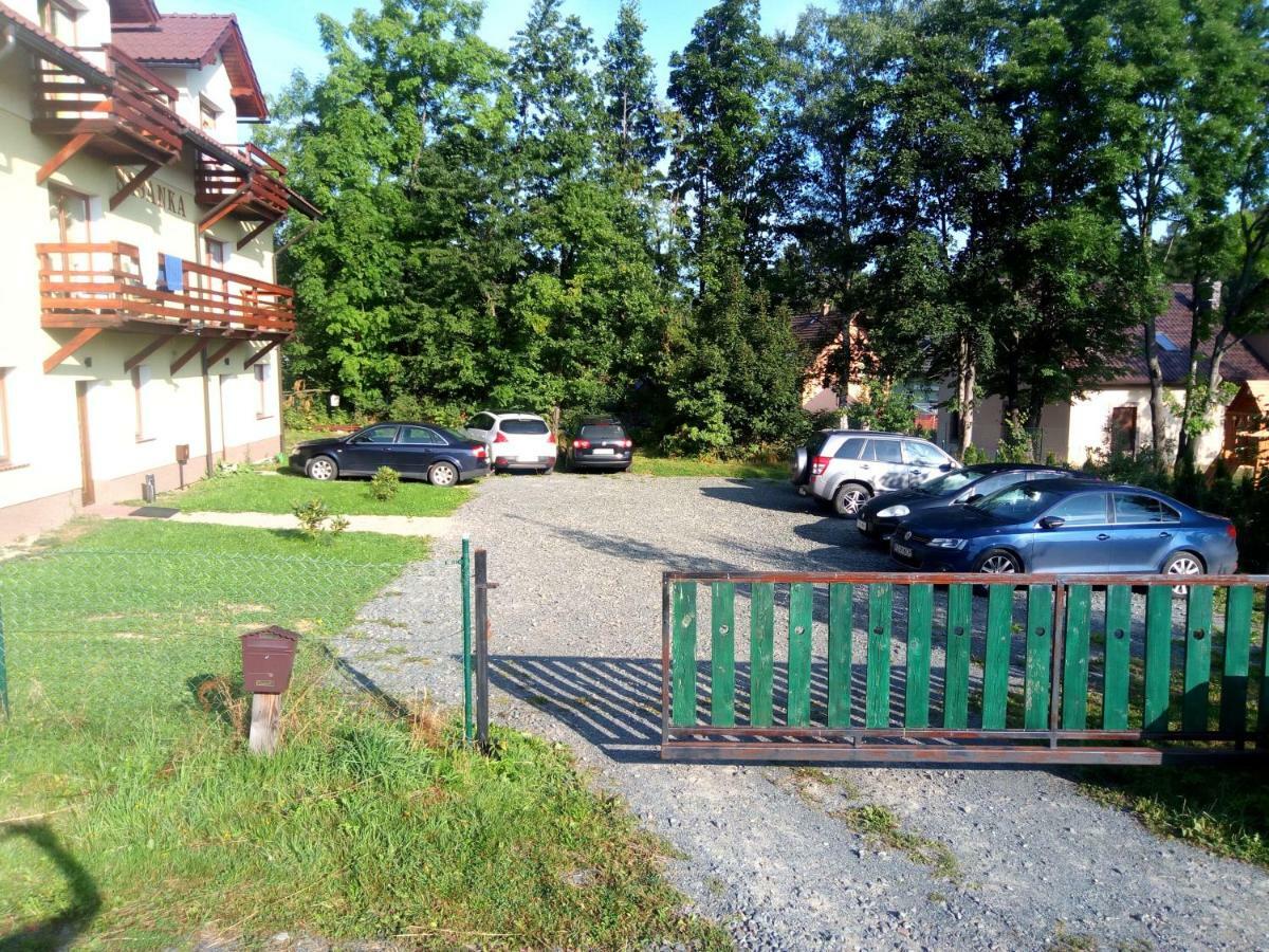 Sasanka Karpacz